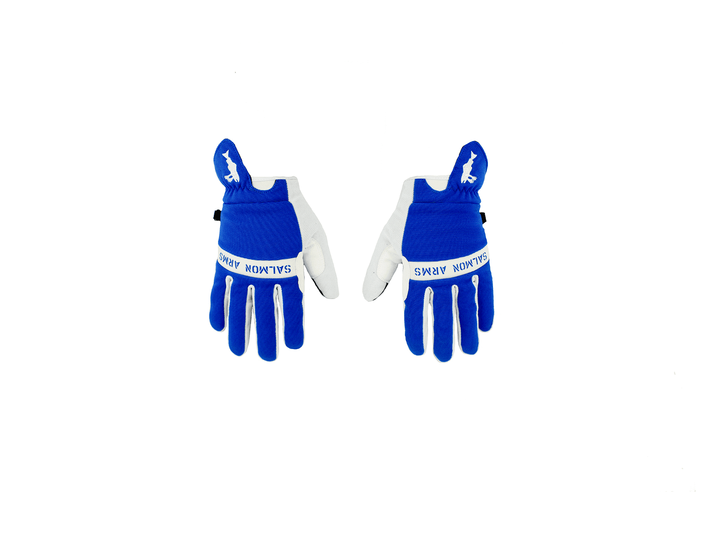 Blue/White