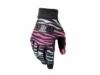 Rainbow Zebra